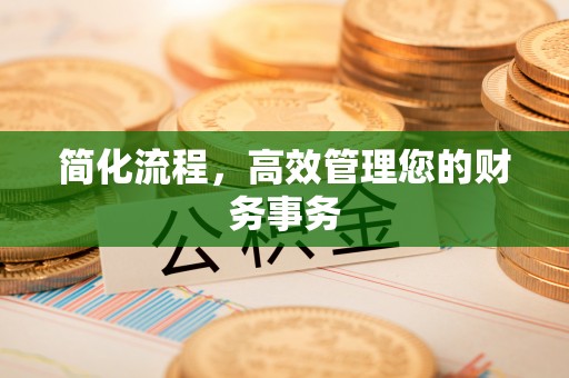 石排简化流程，高效管理您的财务事务