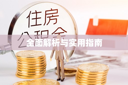 石排全面解析与实用指南