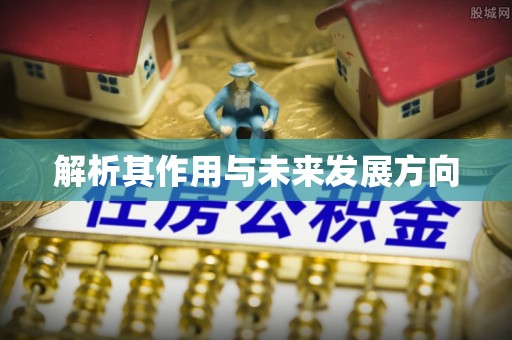 石排解析其作用与未来发展方向