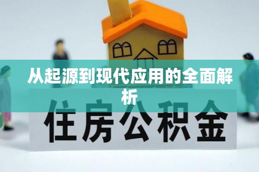 石排从起源到现代应用的全面解析