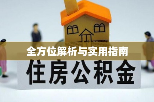 石排全方位解析与实用指南