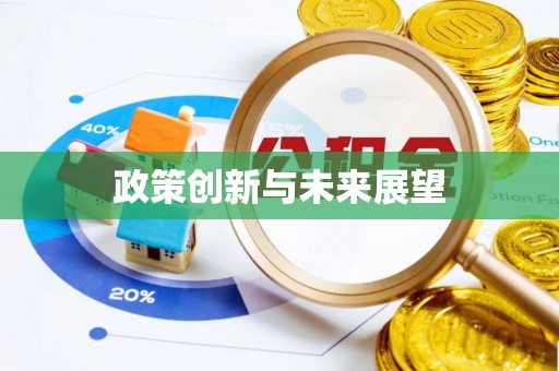 石排政策创新与未来展望