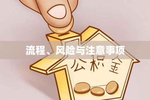 石排流程、风险与注意事项