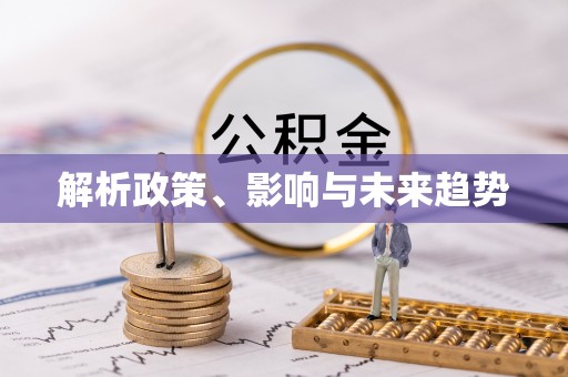 石排解析政策、影响与未来趋势