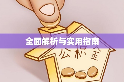 石排全面解析与实用指南