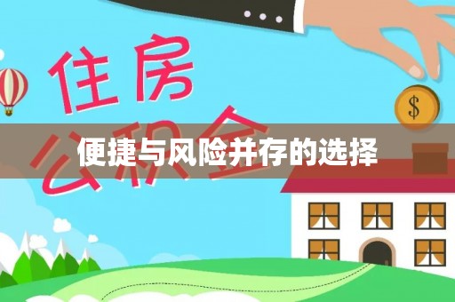 石排便捷与风险并存的选择