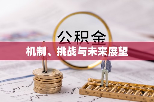 石排机制、挑战与未来展望